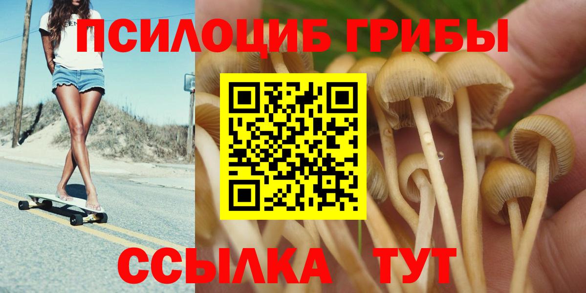 Галлюциногенные грибы мицелий  Вход с VPN  Владикавказ 