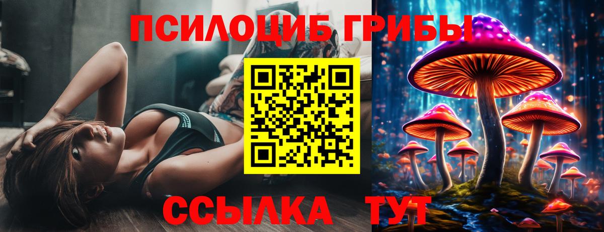 Галлюциногенные грибы Psilocybine cubensis Владикавказ